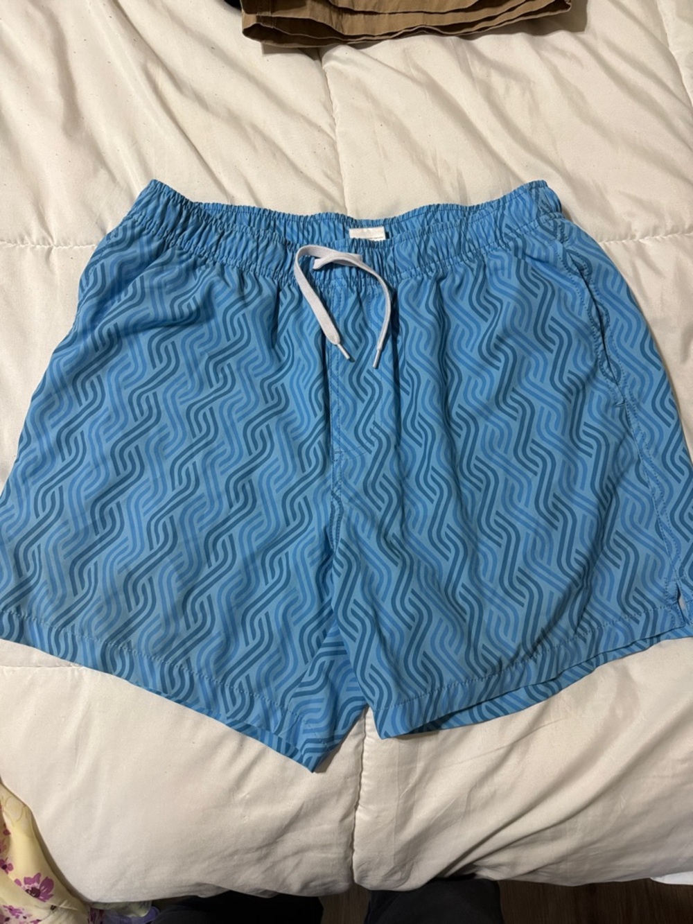 Bearbottom swim trunks L
